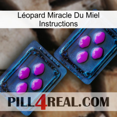 Léopard Miracle Du Miel Instructions 03